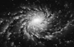 фото для 8-й_fmt.jpeg