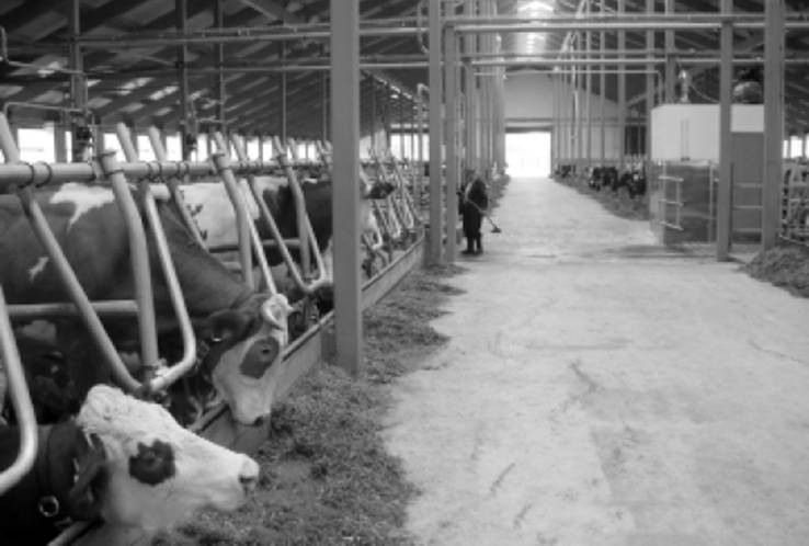 ���� ��������� �������_fmt.jpeg